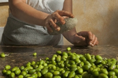 Olive-Ammaccate-del-Cilento